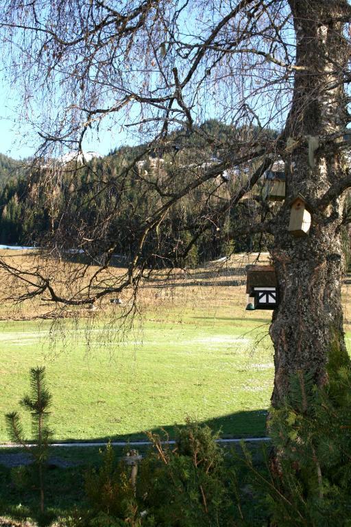Pension Enzian Saalbach-Hinterglemm Exterior photo